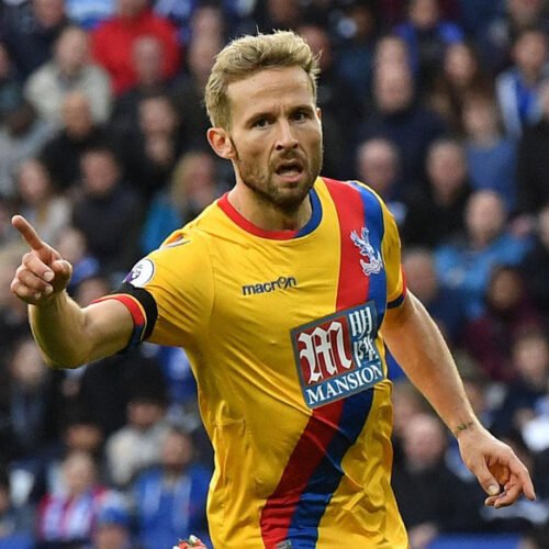 Yohan Cabaye