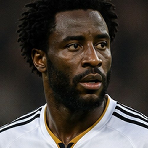 Wilfried Bony